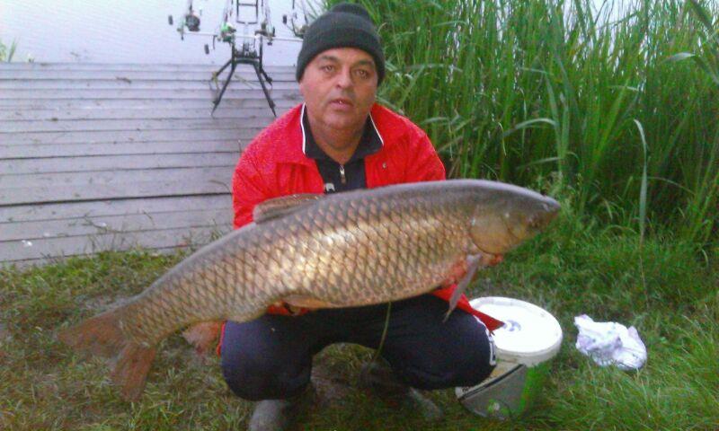 2014 Balta Lazar Alexandria - img-20140505-wa0024.jpg